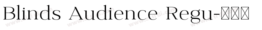 Blinds Audience Regu字体转换